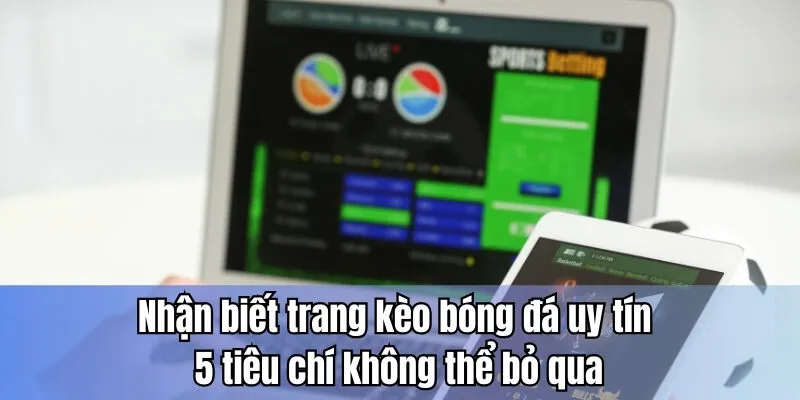 Nhận biết trang kèo bóng đá uy tín