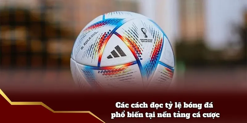 Các cách đọc tỷ lệ bóng đá phổ biến tại nền tảng cá cược