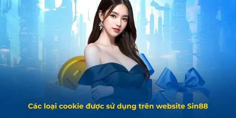 Các loại cookie được sử dụng trên website Sin88