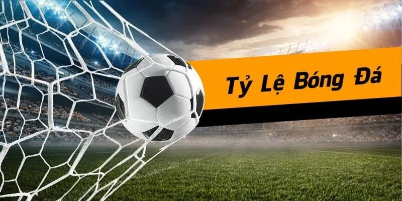 Các loại kèo bóng đá đọc tỷ lệ dễ hiểu