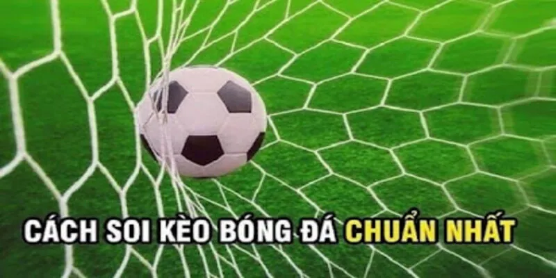 Cách soi biến động kèo chuẩn xác nhất