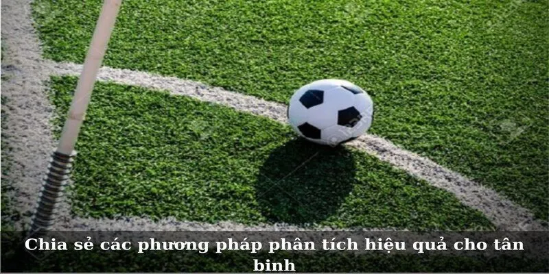 Chia sẻ các phương pháp phân tích hiệu quả cho tân thủ 
