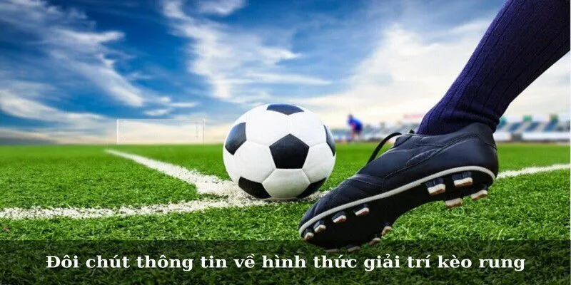 Đôi chút thông tin về hình thức giải trí kèo rung