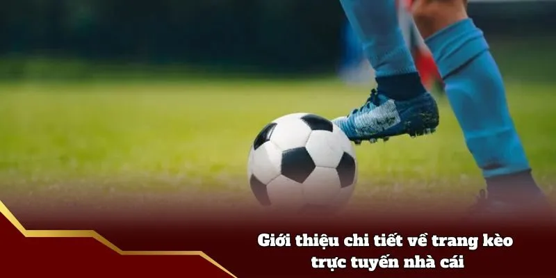 Giới thiệu chi tiết về trang kèo trực tuyến nhà cái