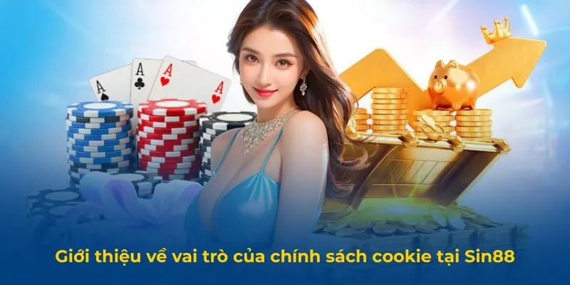 Giới thiệu về vai trò của chính sách cookie tại Sin88