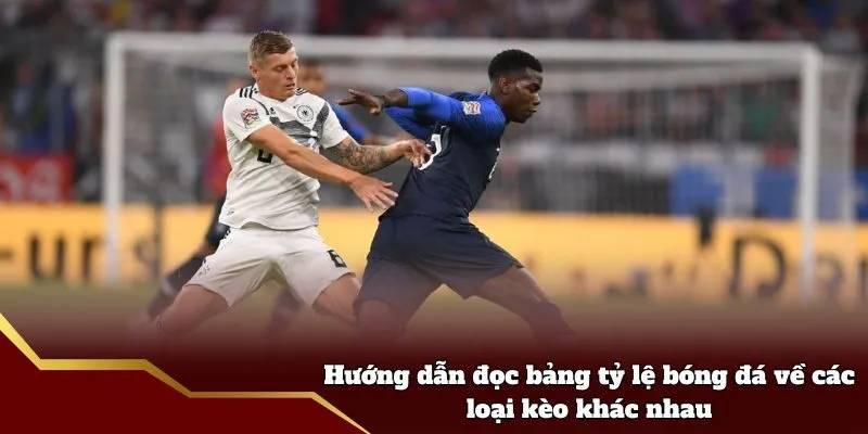 Hướng dẫn đọc bảng tỷ lệ bóng đá về các loại kèo khác nhau