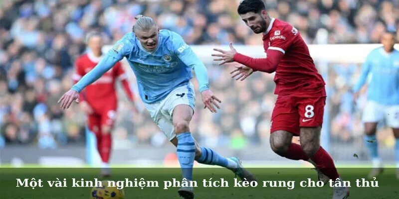 Một vài kinh nghiệm phân tích kèo rung cho tân thủ 