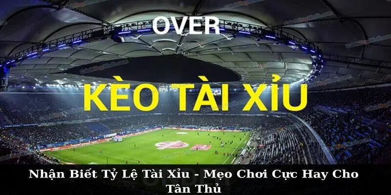 Nhận Biết Tỷ Lệ Tài Xỉu