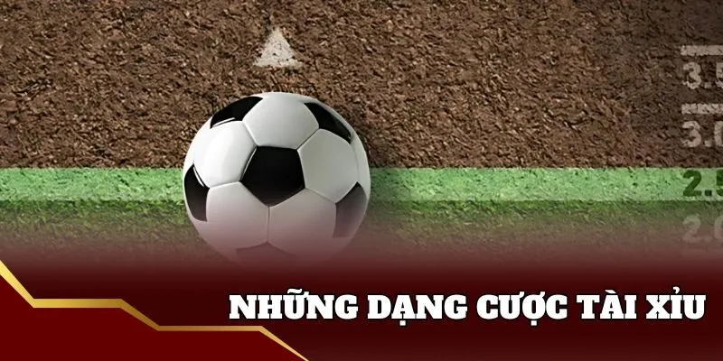 Những kiểu cược tài xỉu Sin88 hot