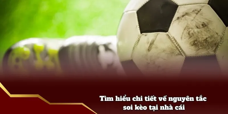 Tìm hiểu chi tiết về nguyên tắc soi kèo tại nhà cái