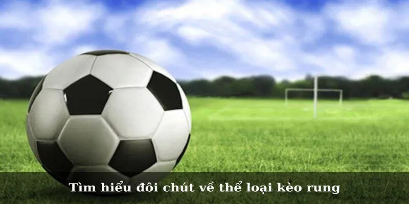 Tìm hiểu đôi chút về thể loại kèo rung