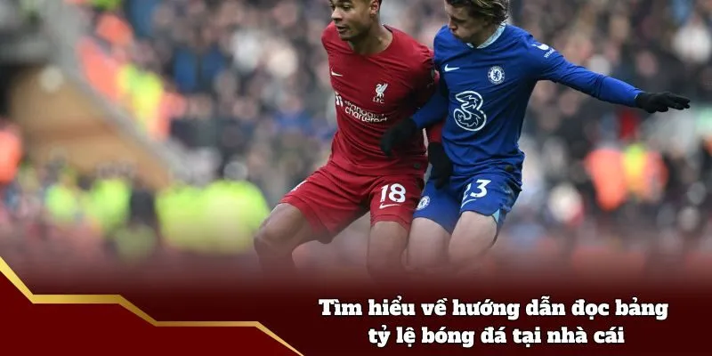 Tìm hiểu về hướng dẫn đọc bảng tỷ lệ bóng đá tại nhà cái