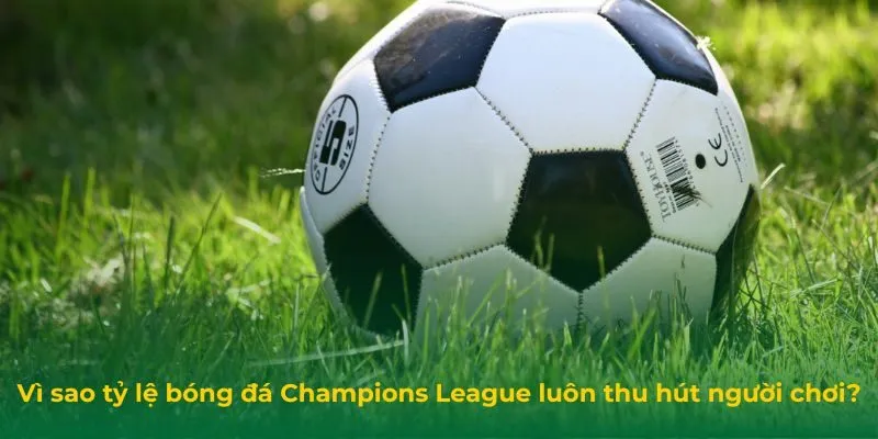 Vì sao tỷ lệ bóng đá Champions League luôn thu hút người chơi?